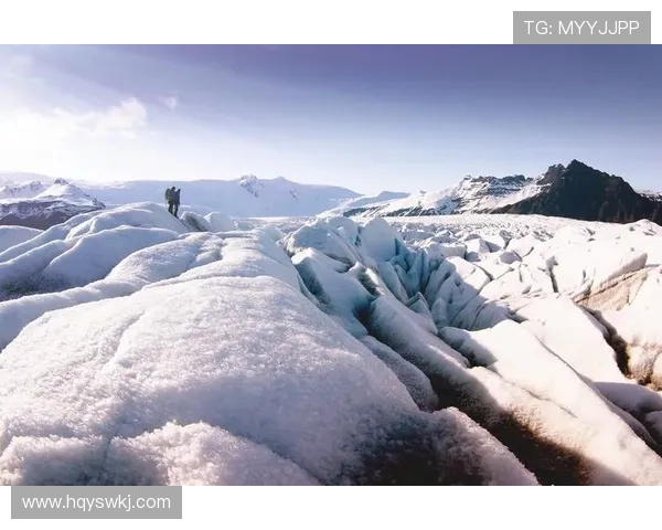 南京极限运动队实力对比深度解析与发展前景展望