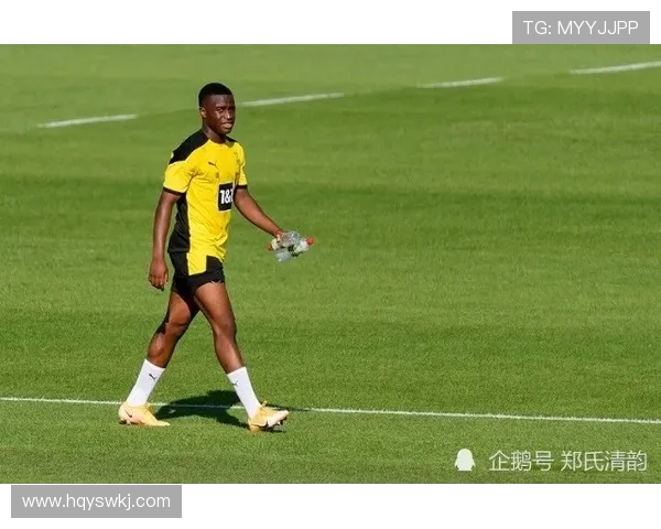 京多安的崛起与挑战解析：从德甲明星到英超战术核心的转变之路